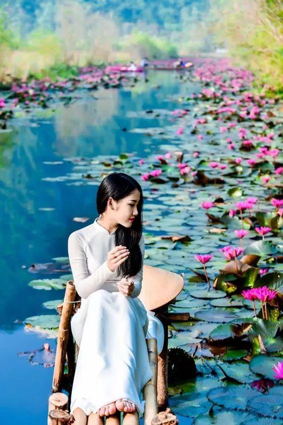 出淤泥而不染荷花之美,如果你是一朵出淤泥而不染的荷花