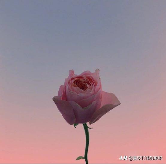 日本三大神水推荐,日本神水奥尔滨