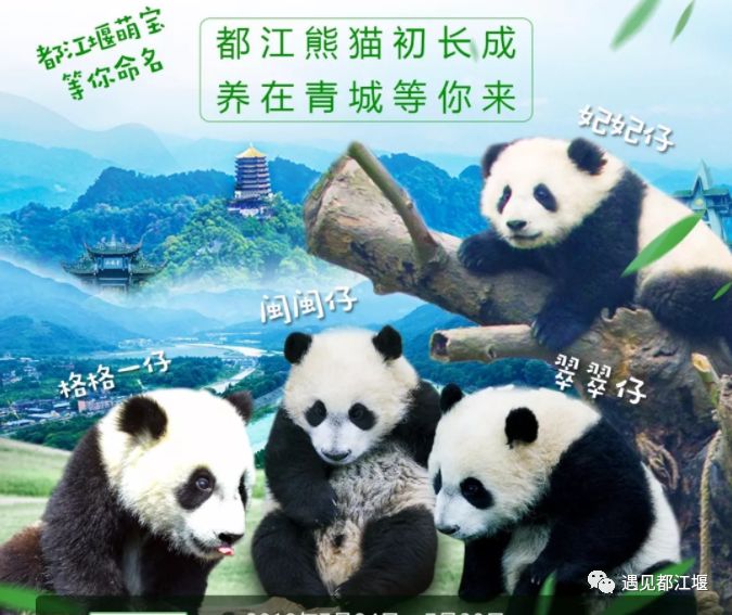 2019年都江堰视频纪录片,2019天府之国都江堰