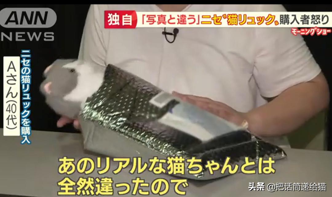 日本网红猫包,日本网红猫咪包