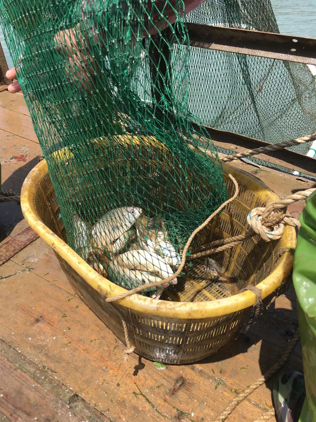 中关村小哥返乡直播“赌网”：每天东海漂四小时，创业十年终发达