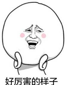 宠物沐浴乳挑选堪比买化妆品？一篇测评告诉你，或许没那么纠结