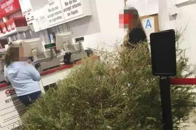 costco苏州店开业有人凌晨3点排队,costco在中国开店火爆异常的原因