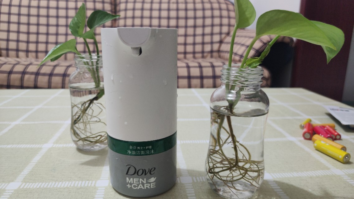 2900毫安锂电池,2900ma的电池