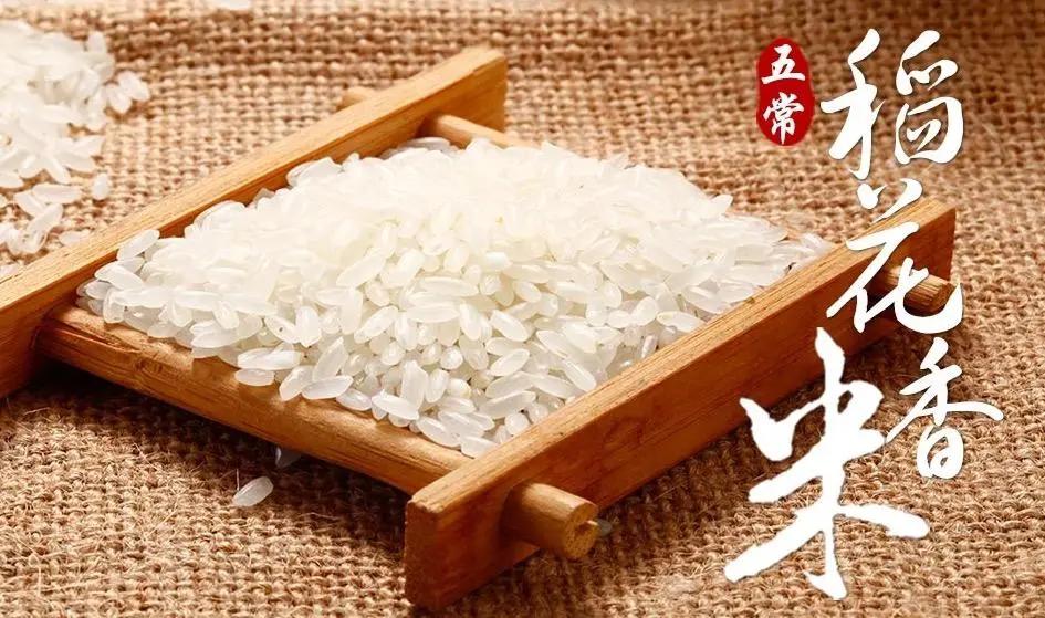 中国三次革命分别是什么,两次粮食革命是什么