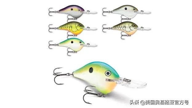 全国渔具展会2024时间表,全国渔具展2024