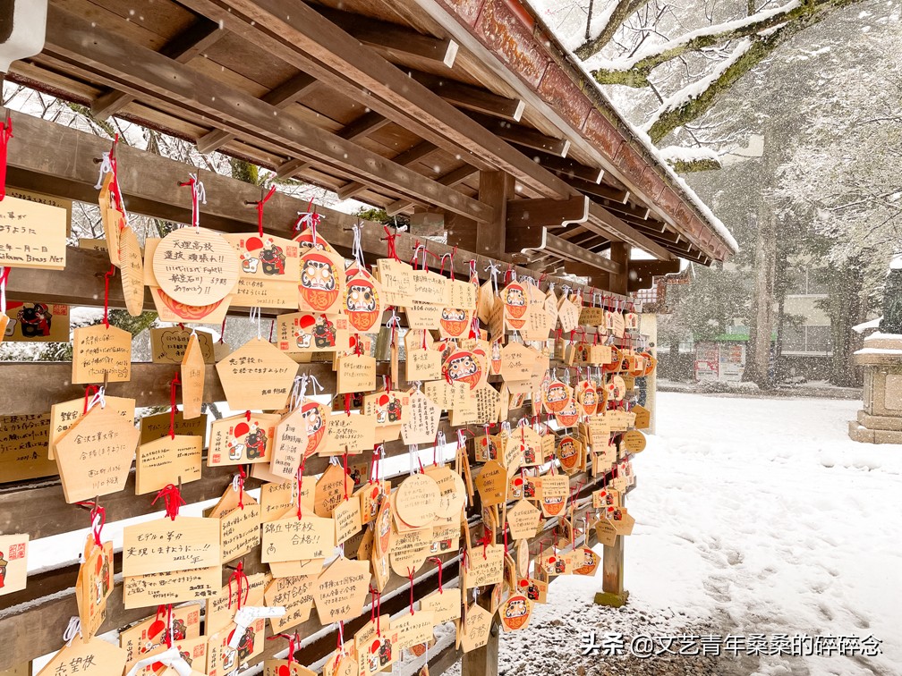 冬季日本的自驾游攻略,冬日游日本名古屋攻略