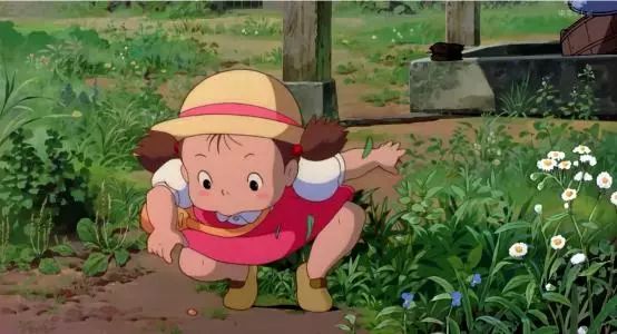 龙猫影评深度理解,龙猫的影评观后感