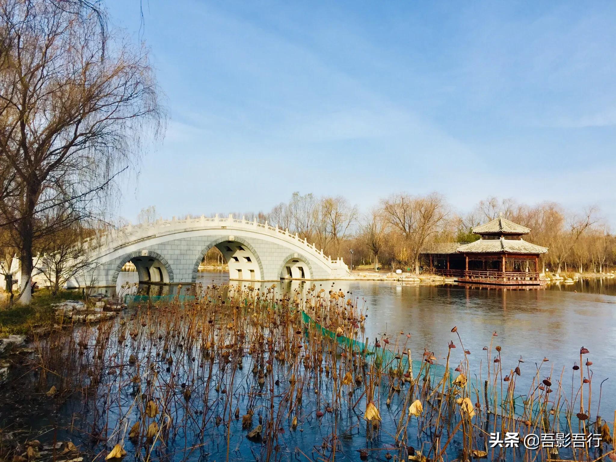 武清津北森林公园有哪些景色,天津武清森林公园开放时间表