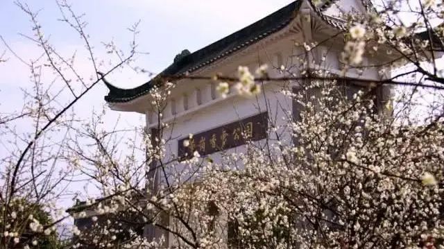 广州凉爽又好玩公园在哪里,夏季广州公园游玩攻略