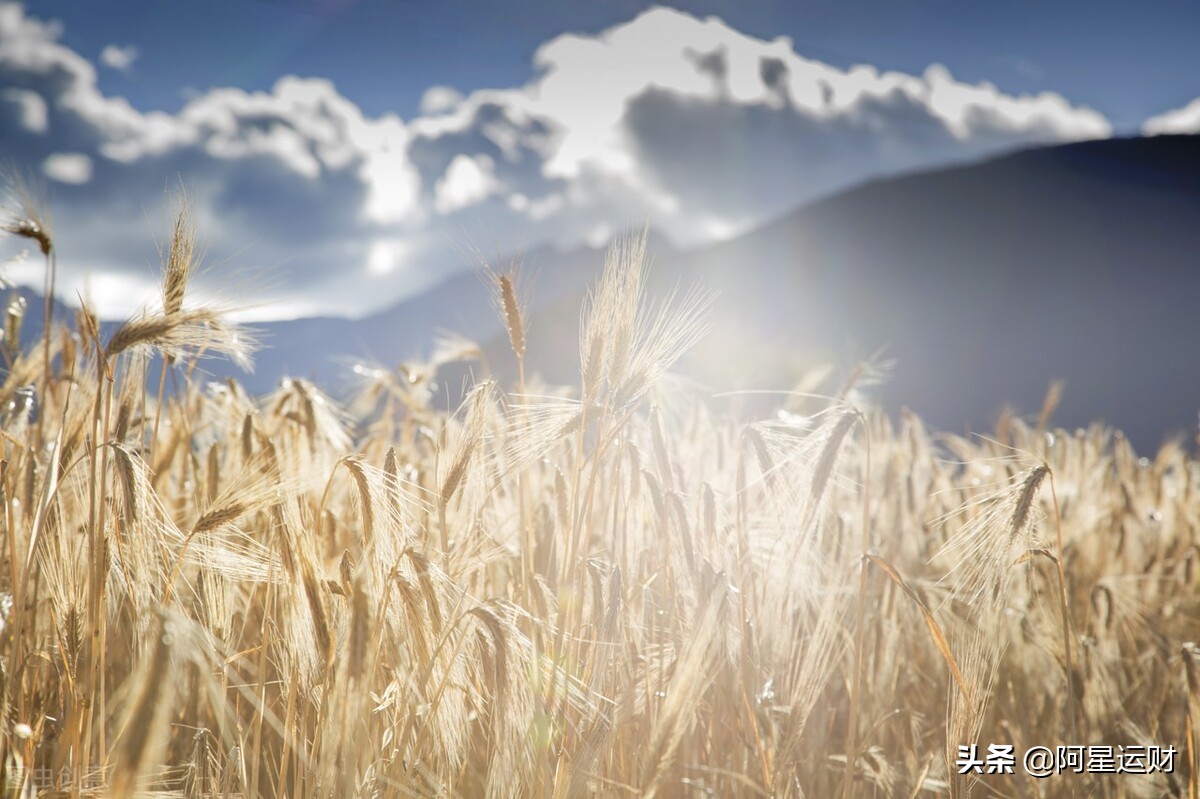 稻盛和夫说年轻人没有钱可以再赚,稻盛和夫没有难做的生意