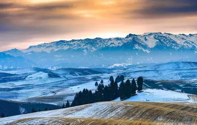 冬天的阿勒泰冰雪,冬天的雪冰雪奇缘