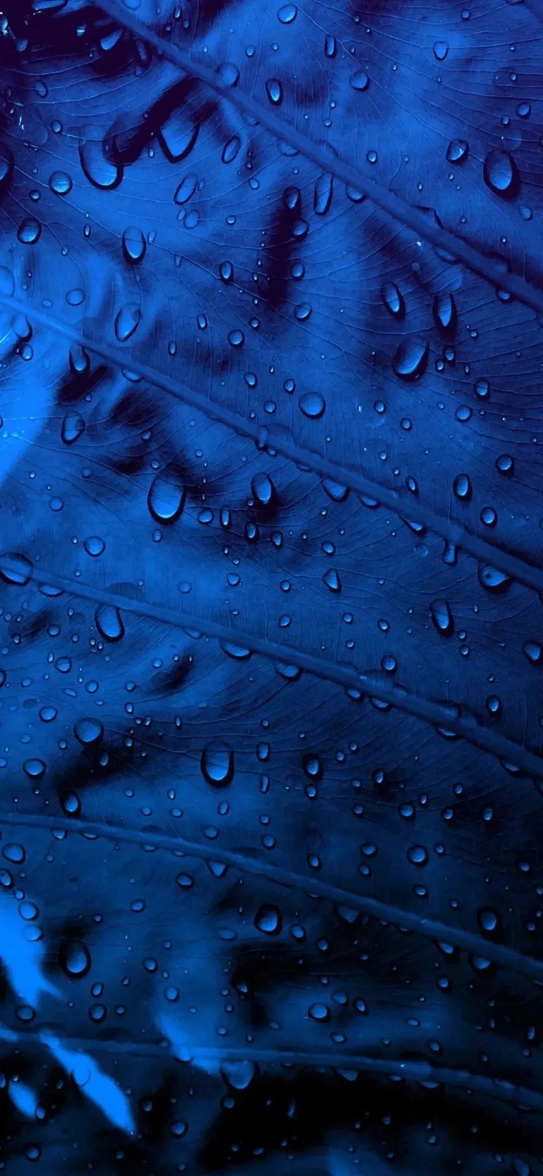 手机壁纸高清小美,细心专注认真的手机壁纸