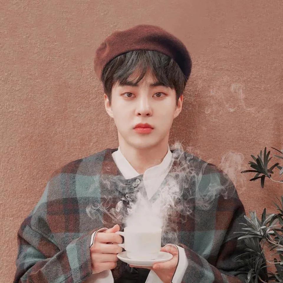 适合中年女人高雅的微信头像,100张珍藏已久微信头像