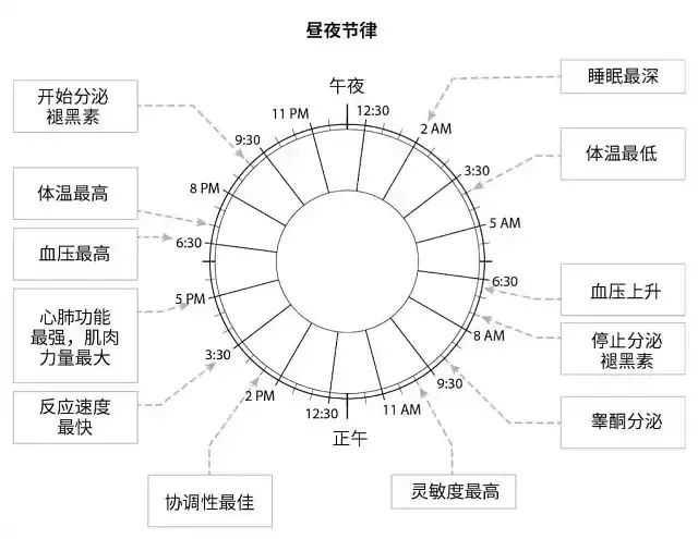 老公用哪三种方法能治好老婆失眠,夫妻提高睡眠质量的方法