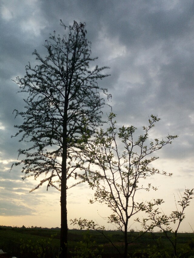 有些亲人还不如外人老死不相往来,有些亲人注定要远离