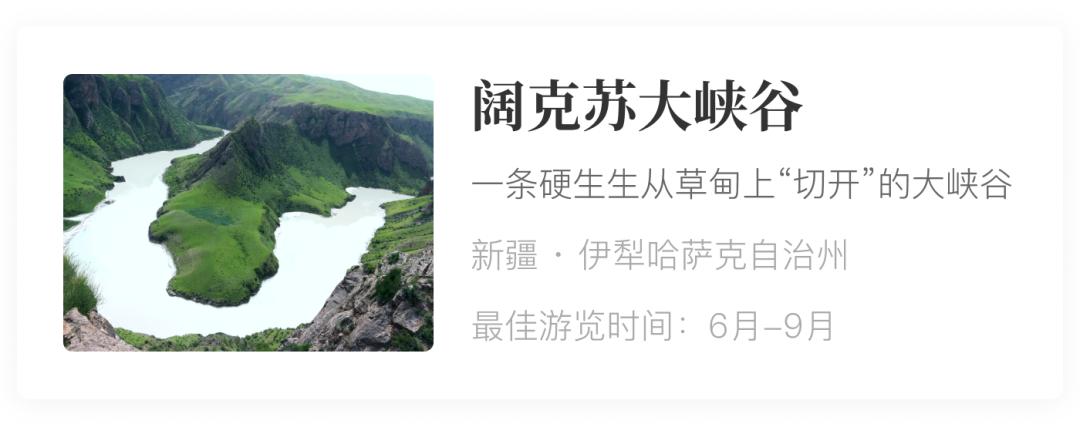宁夏中卫西瓜是不是硒砂瓜最好吃,宁夏硒砂瓜在什么地方