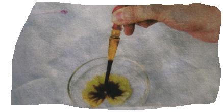 绿叶在光下制造有机物实验示意图,绿叶在光下制造有机物的实验报告