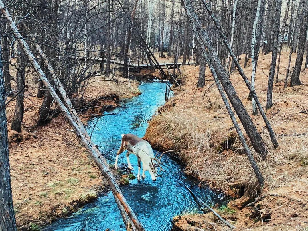 世界一生必去的51个最美的地方,全世界一生必去的100个地方