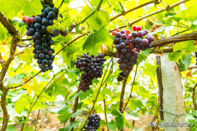 河北最默默无闻的城市,河北最低调的古城