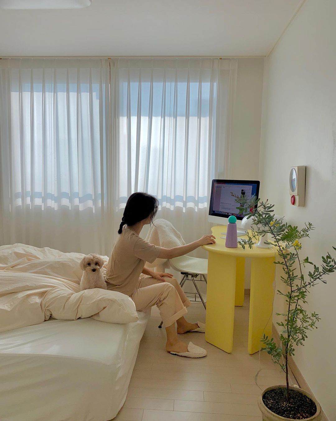 韩国主妇一招极简收纳术，厨房、卧室整齐到爆，治愈我的收纳焦躁