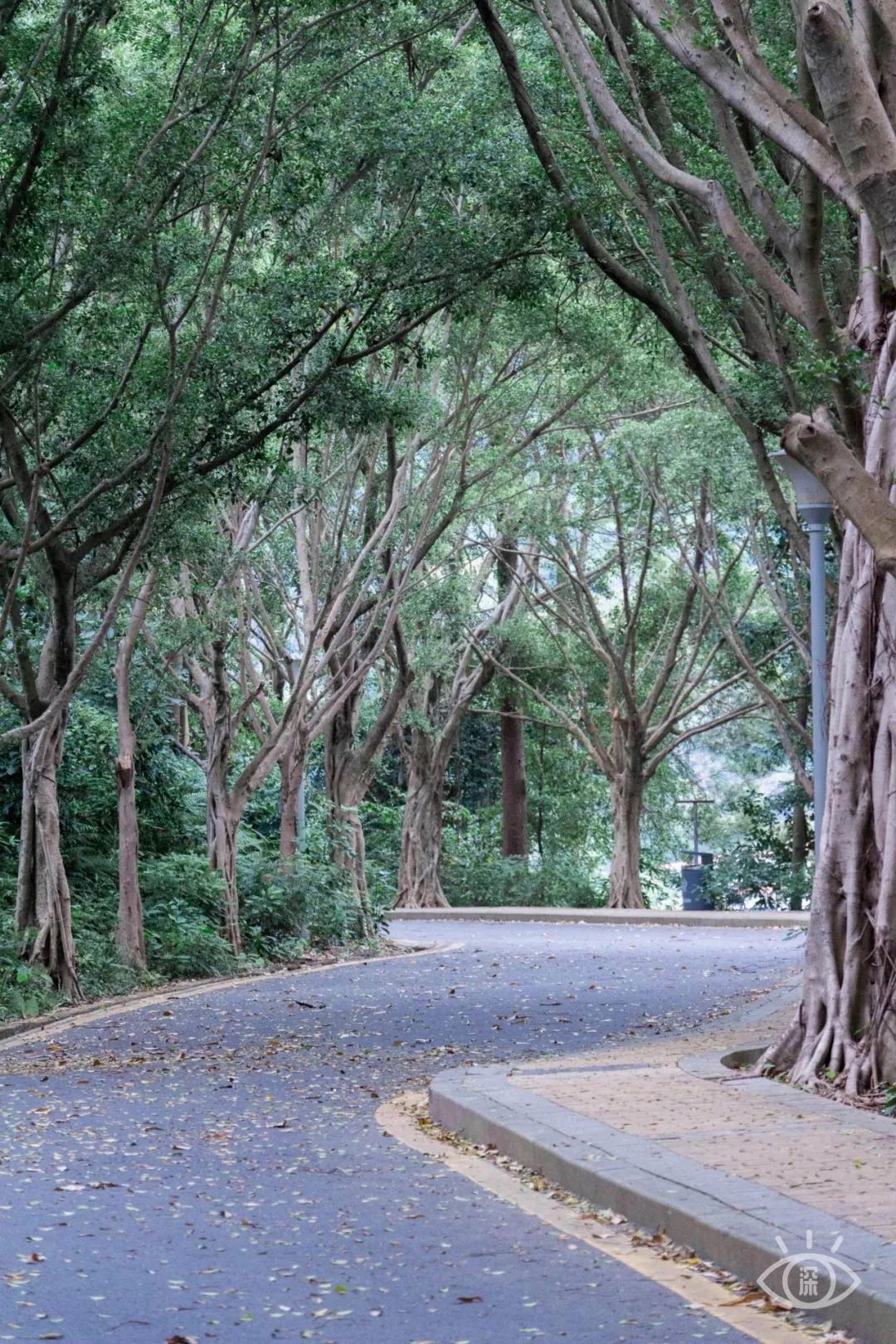 最美湖泊小众风景,最美湖泊西湖