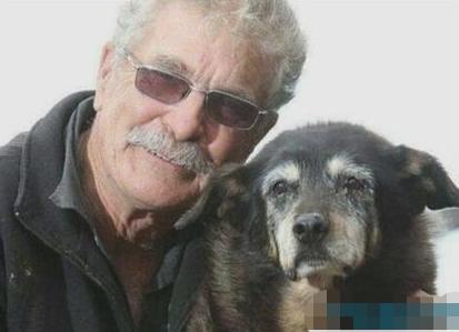 短腿狗腊肠犬,吉尼斯纪录最长的腊肠犬