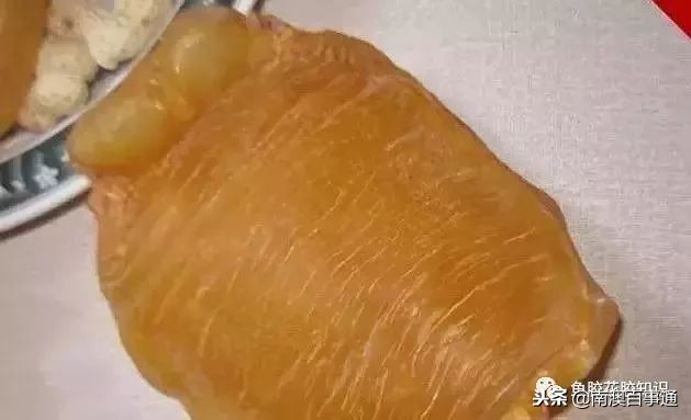 涨知识！鱼胶种类大全，不看亏大了！