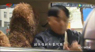 成都人专属沙雕节目清单,你看过几个?