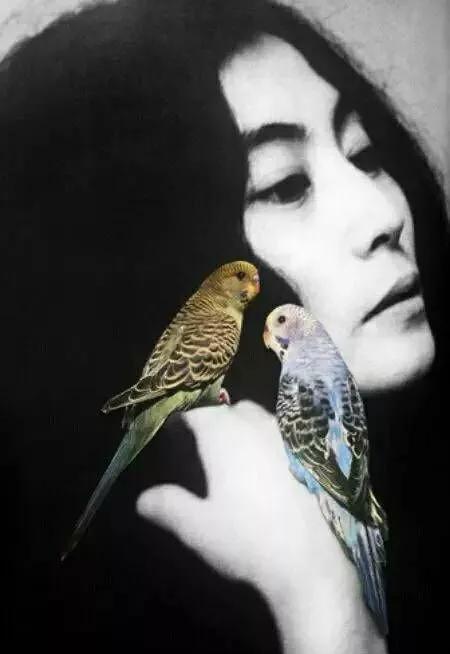 小野洋子访谈视频,小野洋子访谈