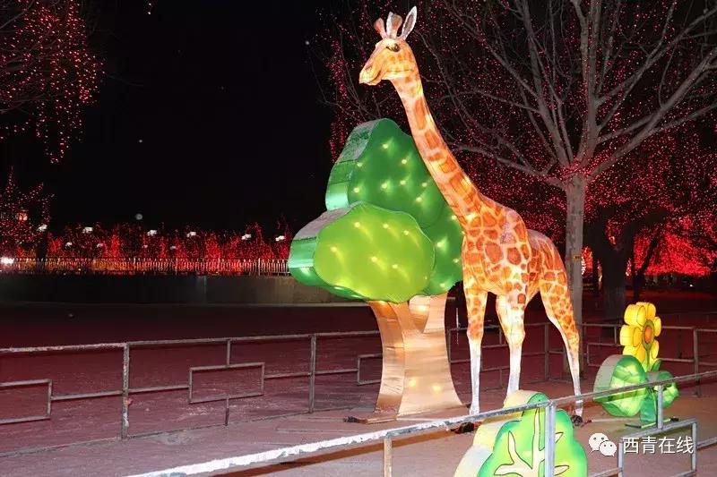 元宵节天津哪有灯会,天津市元宵节哪的花灯最好