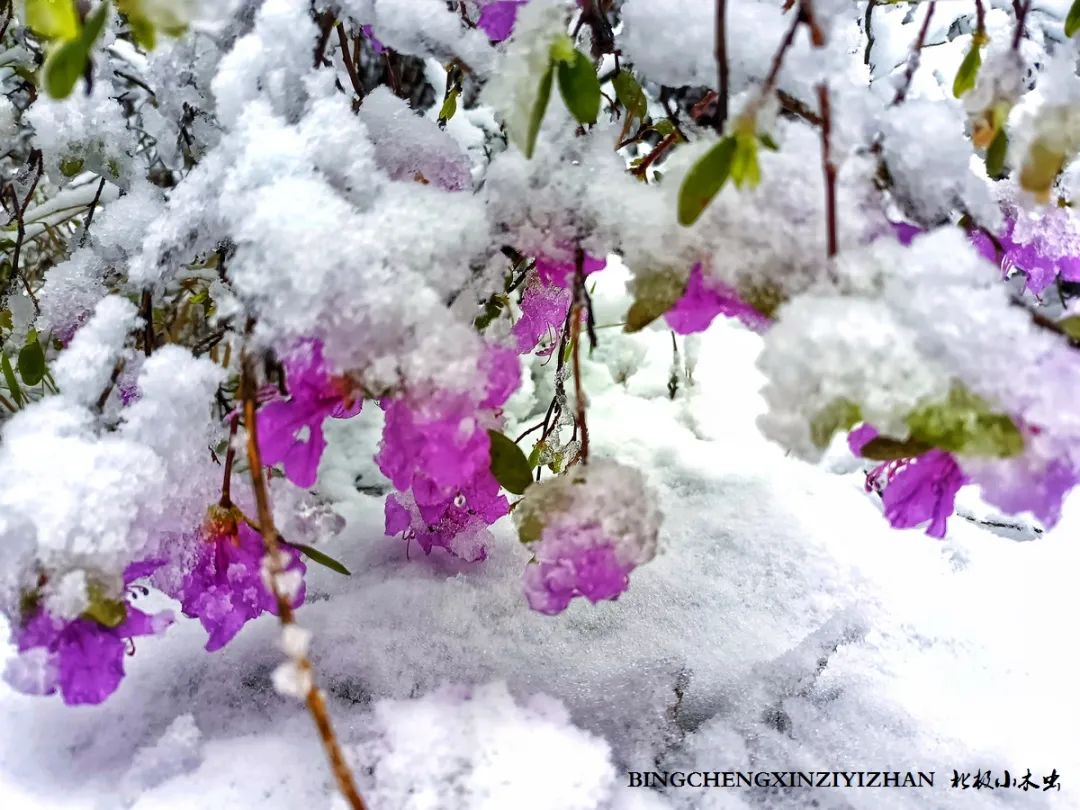 寻找中国最美的春季,探寻中国最美秘境