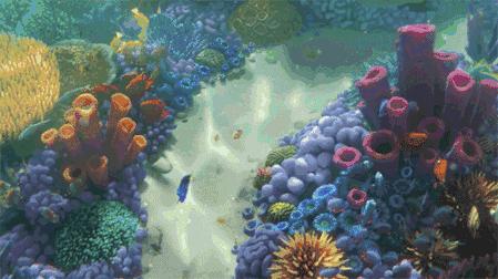 西安三个海洋馆哪个生意好,西安海洋馆推荐哪家