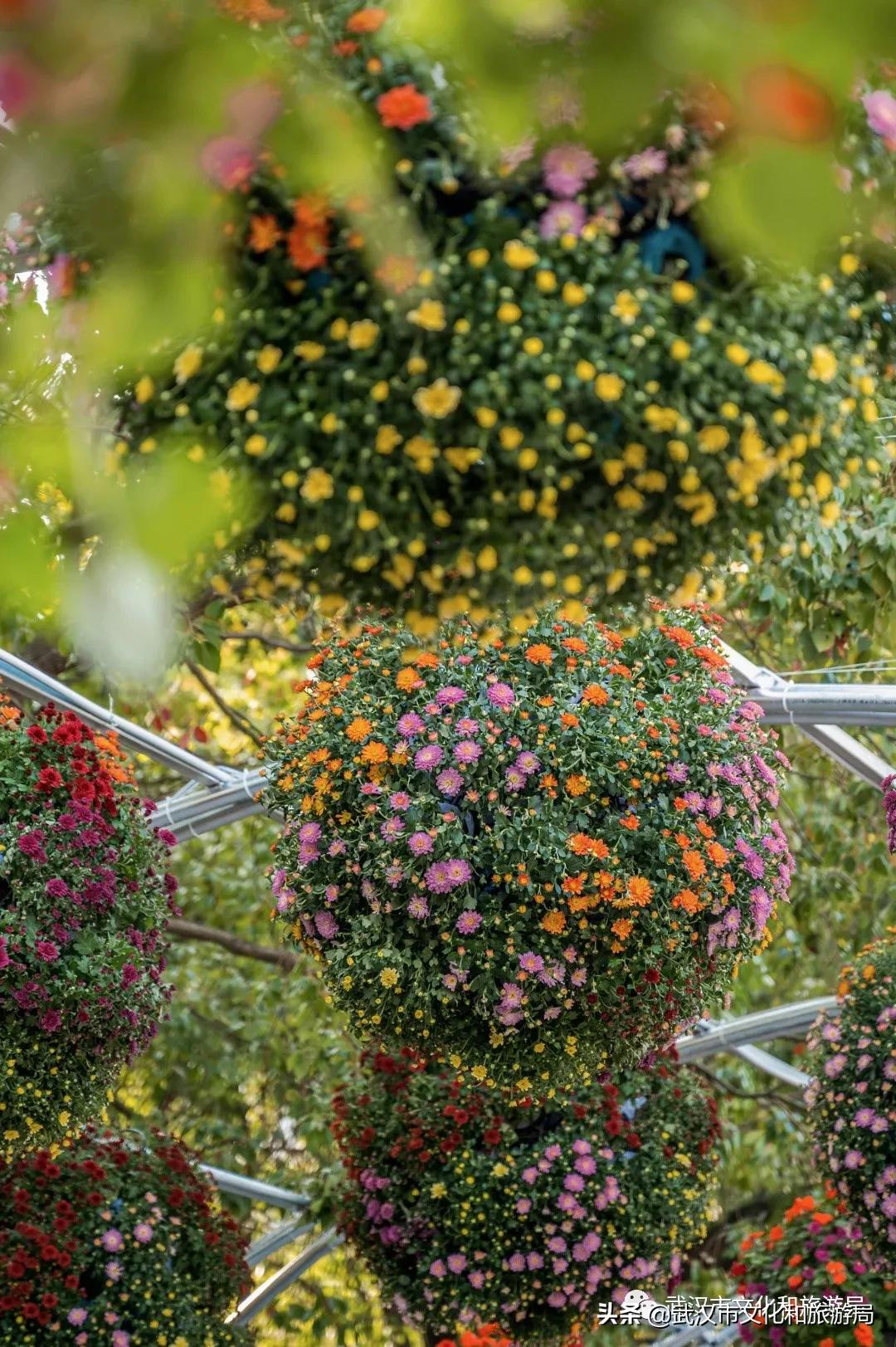 武汉秋天的第一场音乐节,武汉秋天第一场音乐节