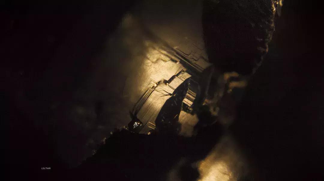 太强了！她笔下的「神秘画风」真是惊艳！