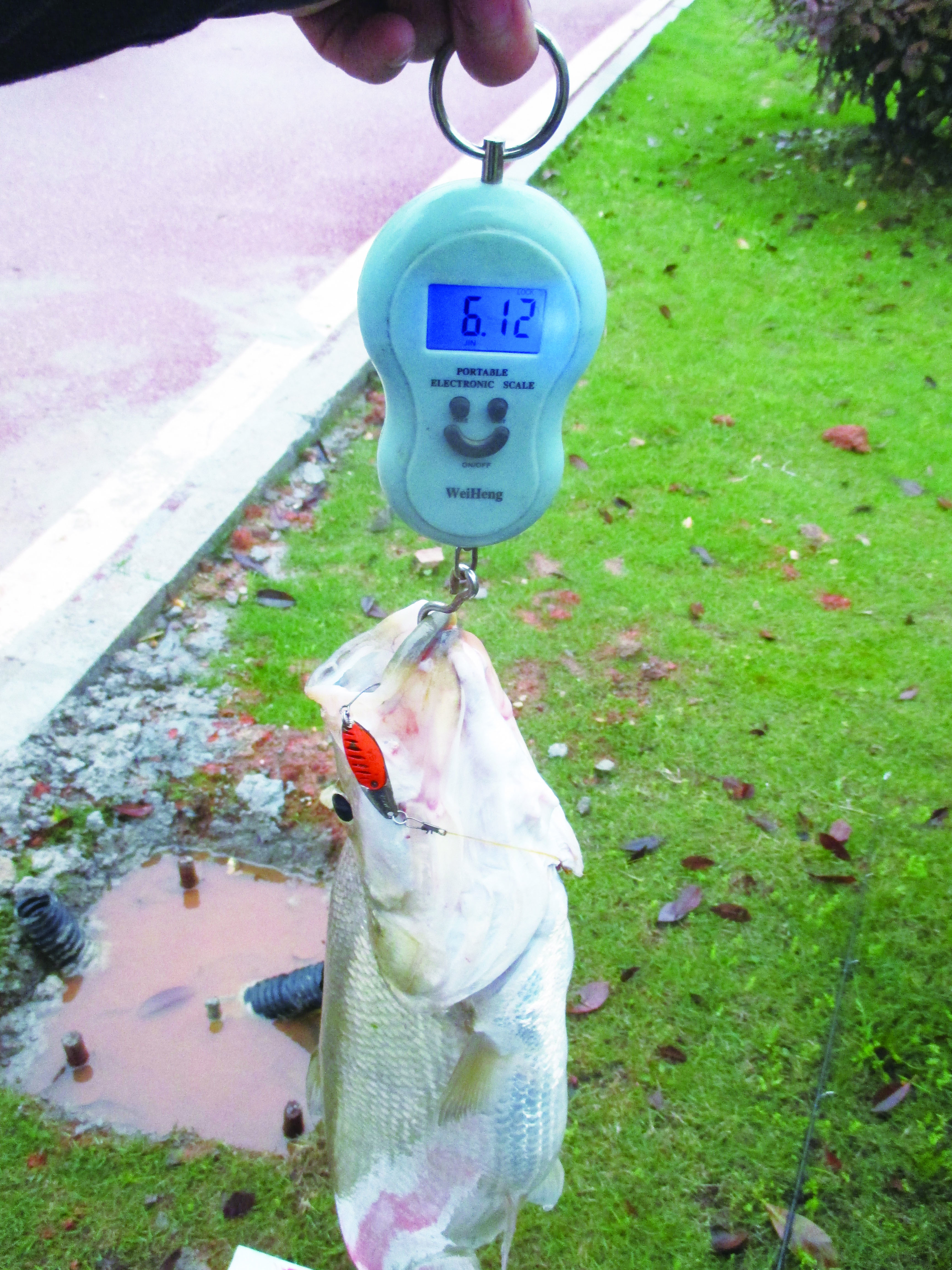 玩路亚第一天上鱼,玩路亚几年的变化