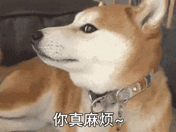 excel如何隔行填充数据,excel隔行怎么自动填充序列