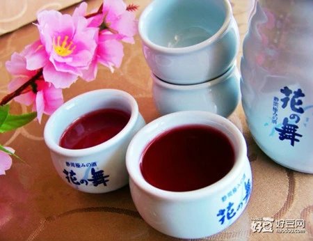 酿制杨梅酒方法,红酒杨梅酒制作方法