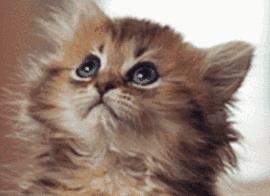 住院一次只能报7000吗,住院一天一千八