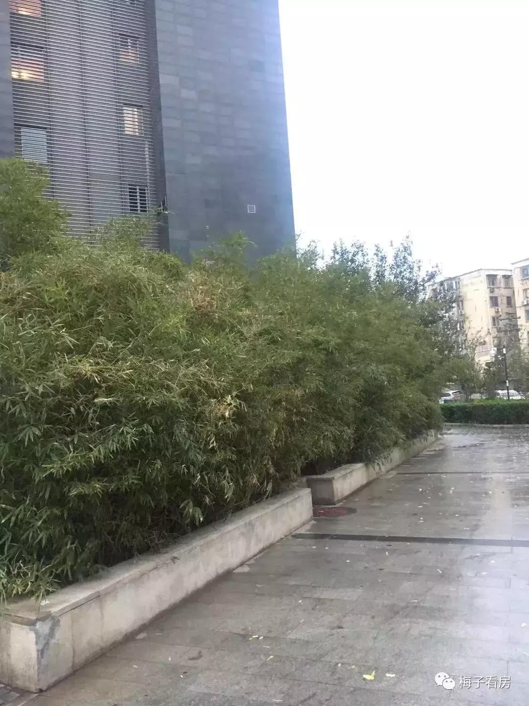 三环异旅——老国展master领寓