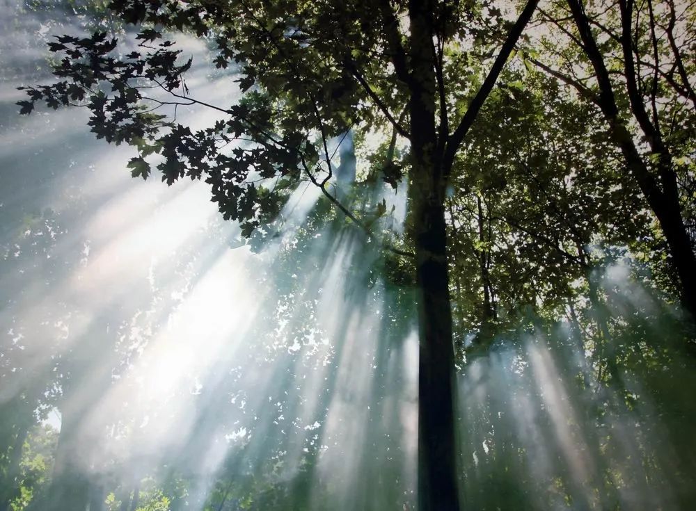 现代教育的缺失和遗憾,襄城县现状