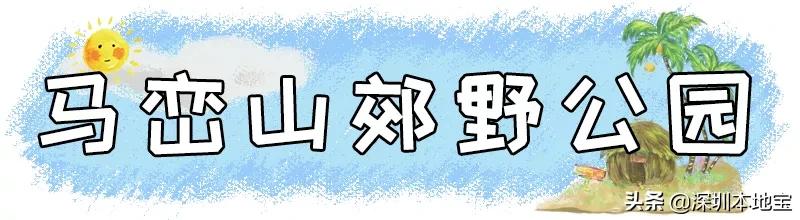深圳免费的景点有哪些地方,深圳有哪些免费又好玩的地方景点