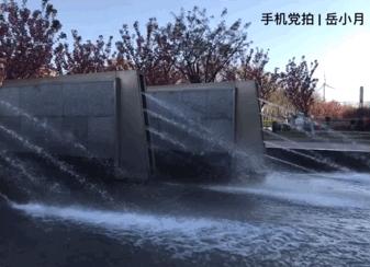 手机如何拍好“动态物体”？实例教你拍光轨、追焦、水拉丝