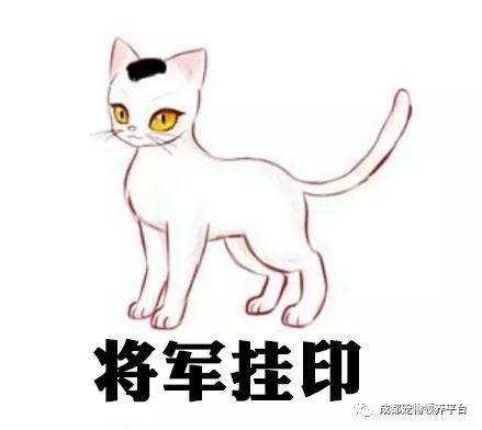 谁说土猫无名猫？快来围观古代猫谱，你家有没有镇宅神兽！