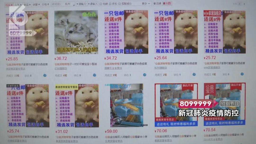 花鸟市场哪些不能买,花鸟市场现在还有吗