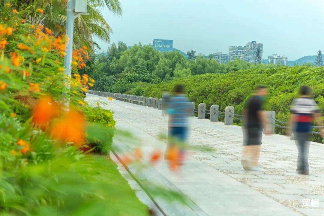 深圳周末打卡地点排行榜,深圳秋季打卡攻略