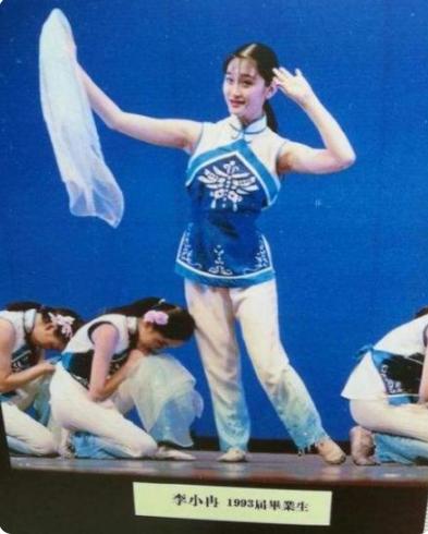 梅婷和李小冉近况,李小冉插足梅婷婚姻