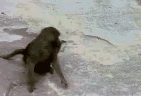 真人笔记：夏季疯狂爆痘，拯救崩盘面部实录