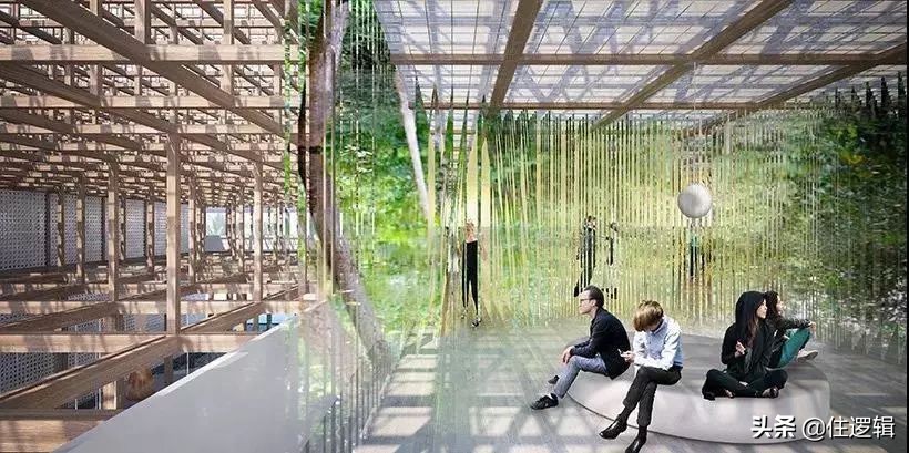 2020年迪拜世博会的展示设计鉴赏,迪拜世博会绝美建筑设计图