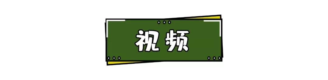 包子捏褶,包子捏褶技巧视频